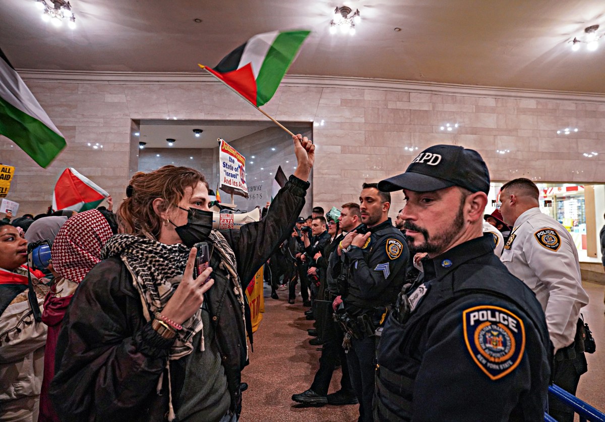 Pro-Palestine protesters