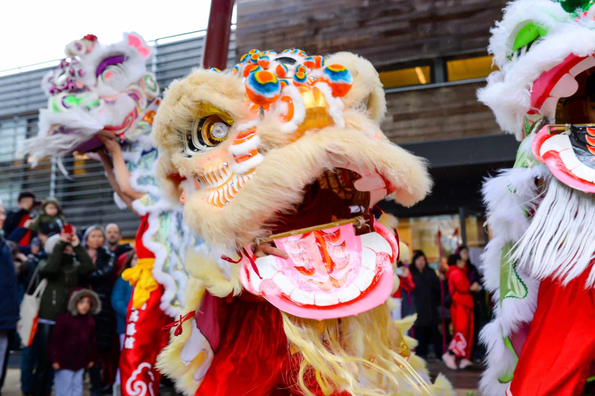 NYC Lunar New Year Celebrate ‘Year of the Dragon’