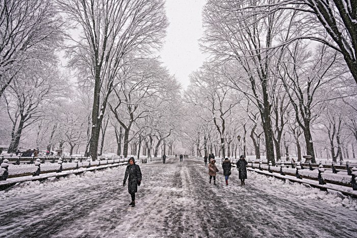 Snowy conditions in NYC