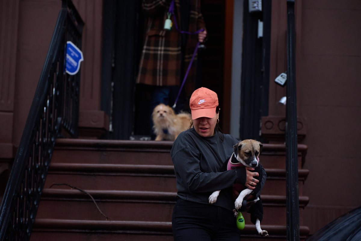 woman rescue a dog