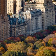 apartment buildings facing central park