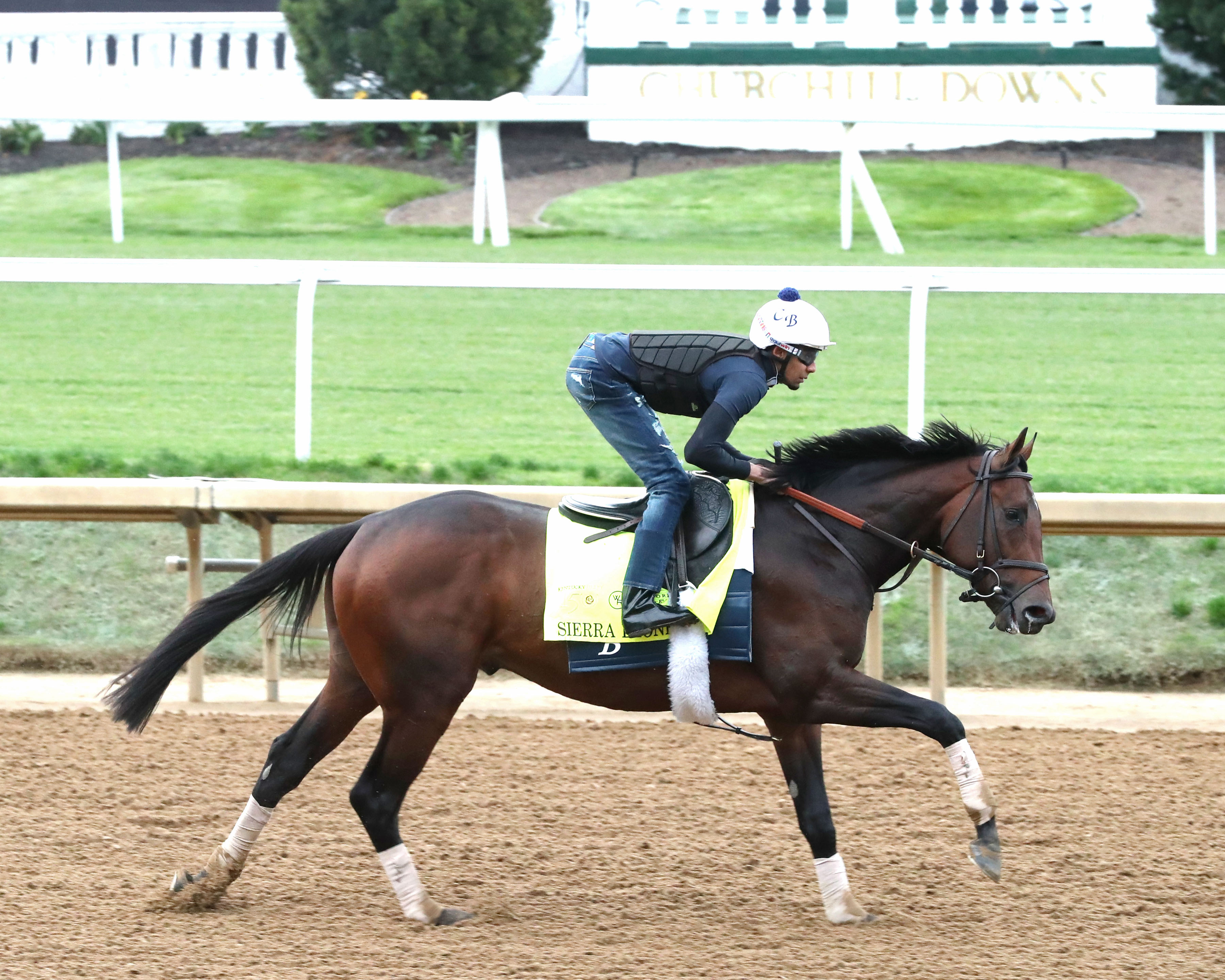 2024 Kentucky Derby Betting: Odds, Predictions | AmNewYork