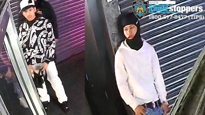 Photos of Midtown muggers who robbed Indiana man