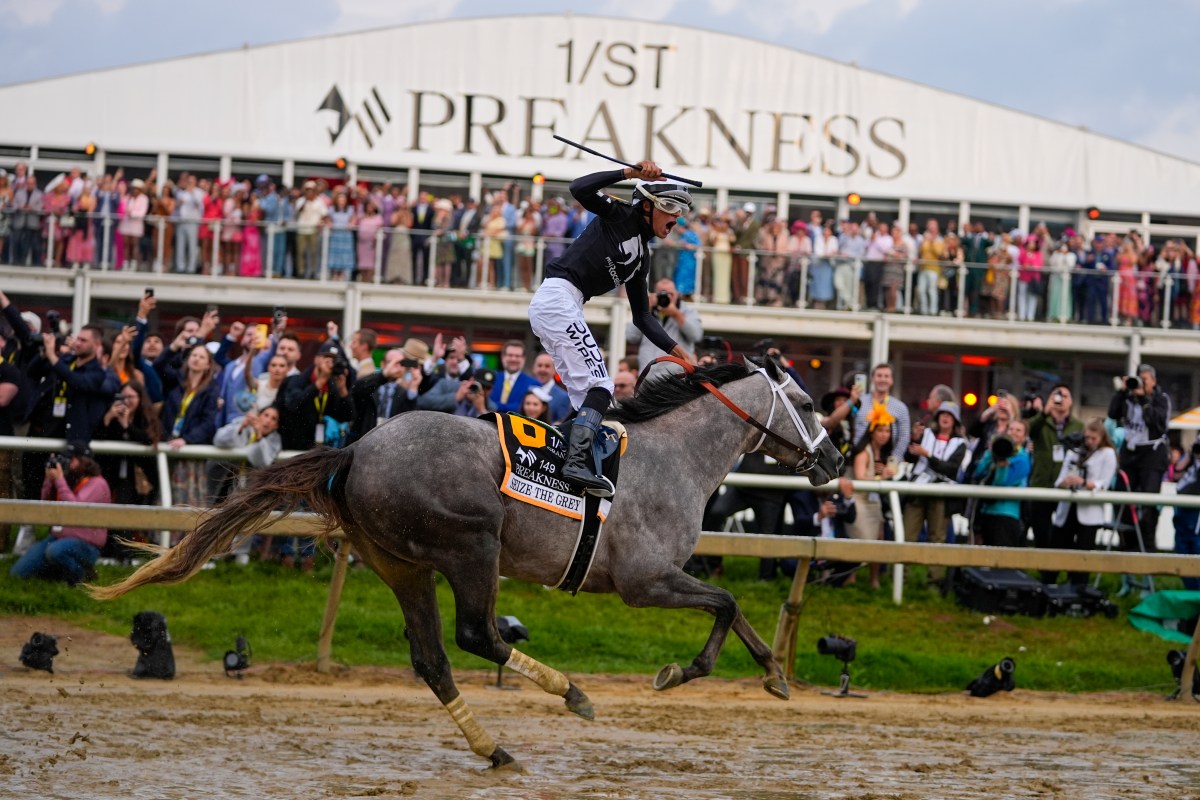 Preakness Stakes winner Seize the Grey ahead of Belmont Stakes
