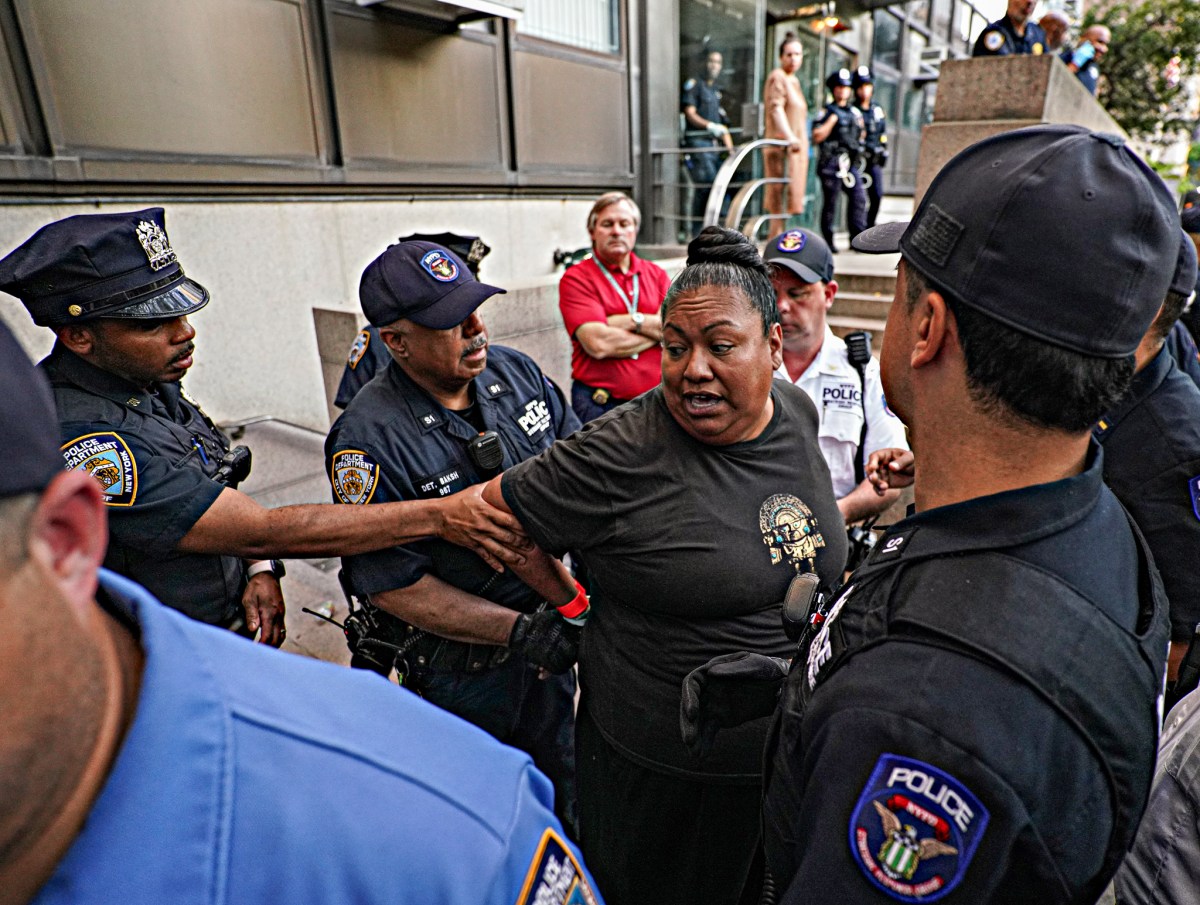 Assembly Member Marcela Mitaynes (D-Brooklyn) was arrested