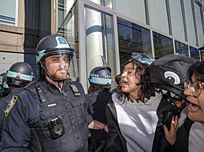 Protester dressed as orca arrested in Lower Manhattan