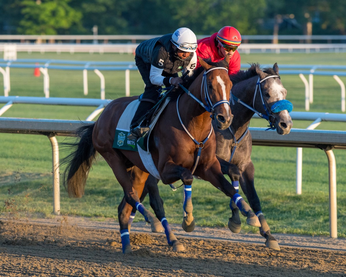 Mystik Dan training for Belmont Stakes