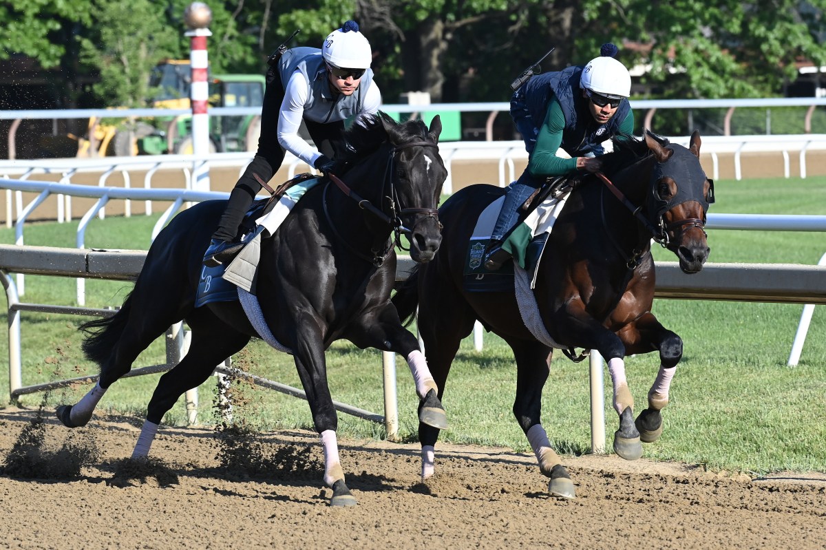 Belmont Stakes 2024 betting odds and predictions: Mystik Dan and Seize the Grey face off against tough field in Saratoga | amNewYork