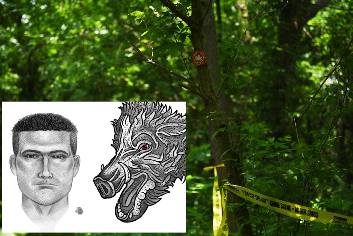 Sketches of the rapist and tattoos from Queens Park in front of a crime scene in the forest