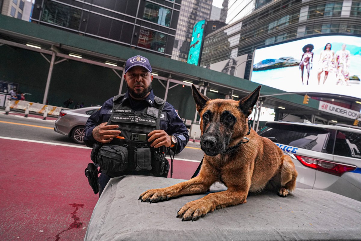 Police Officer Tulio Camajo and King