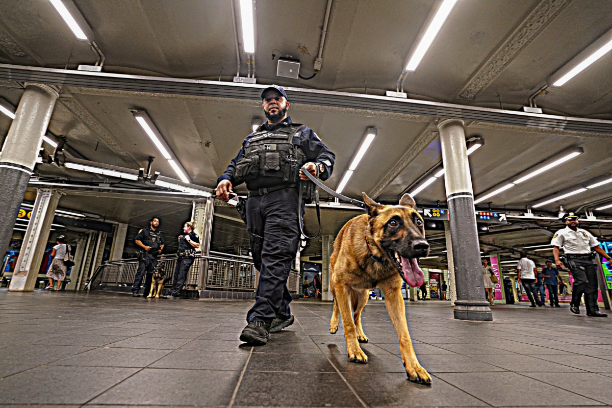 King patrols the subway