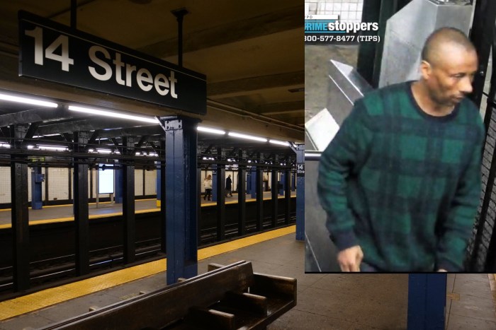 Photo of Manhattan robber who choked victim at 14th Street station