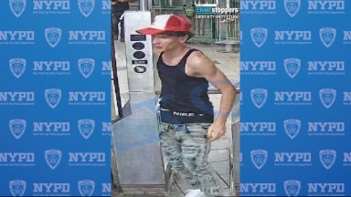 a suspect in a central park robbery