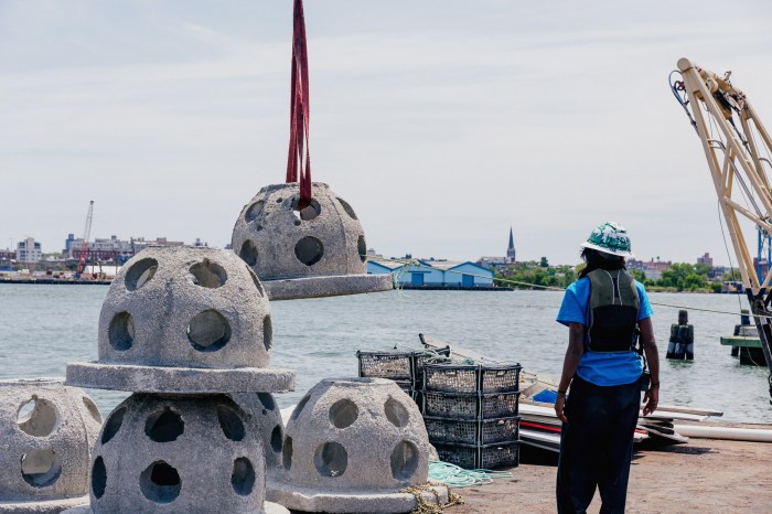 oyster reef in NYC being installed into local waters, showing concrete balls