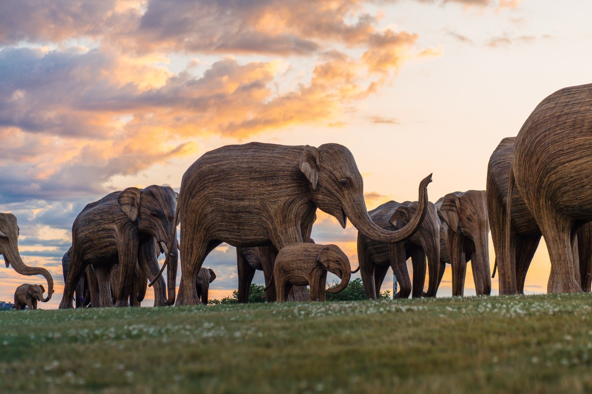 a herd of elephant sculptures