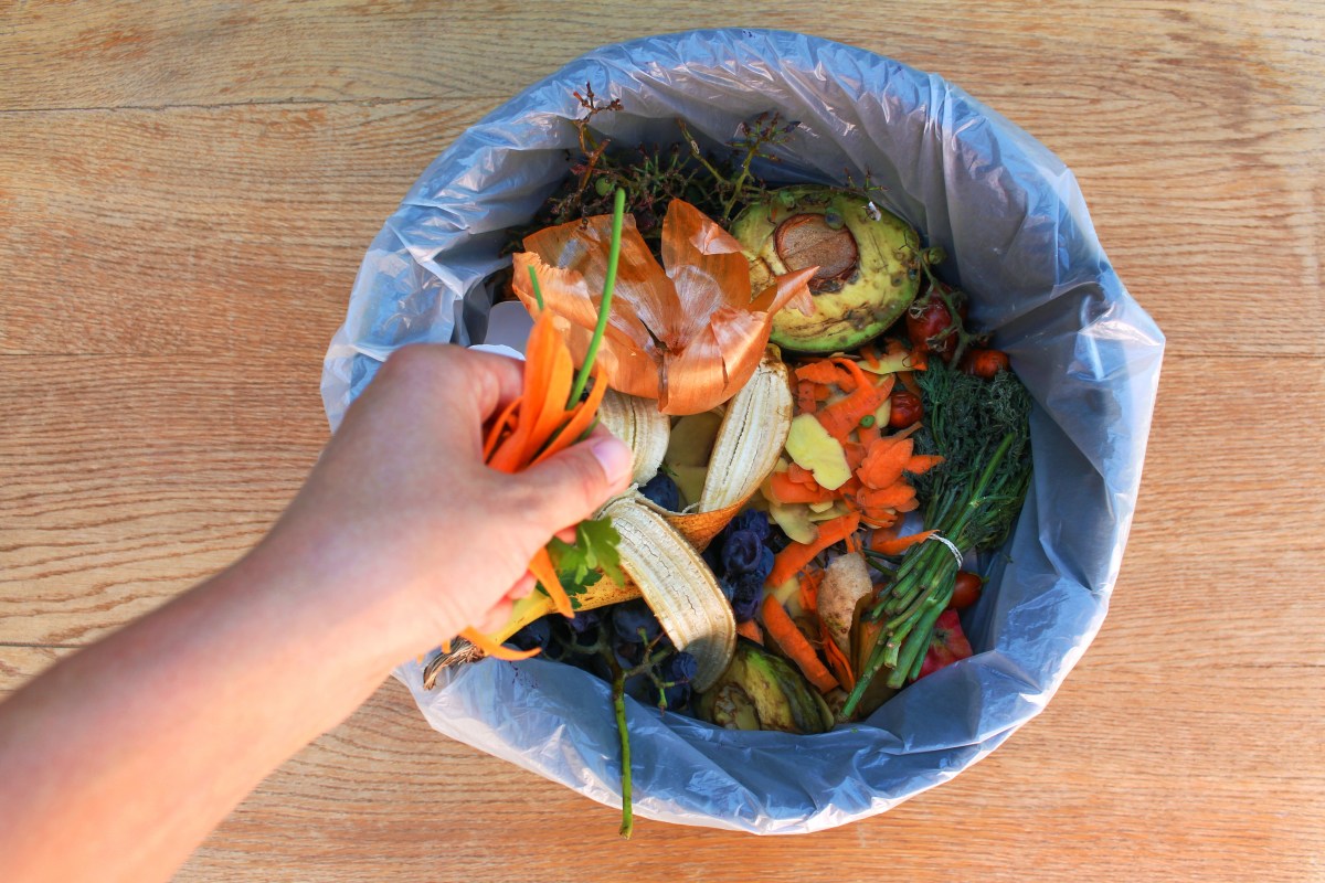 Bin for composting in NYC