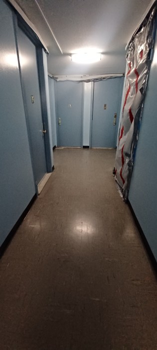 the hallway in a Queens apartment building 