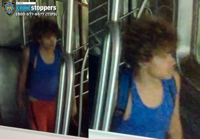 man wearing blue tank top on Queens train