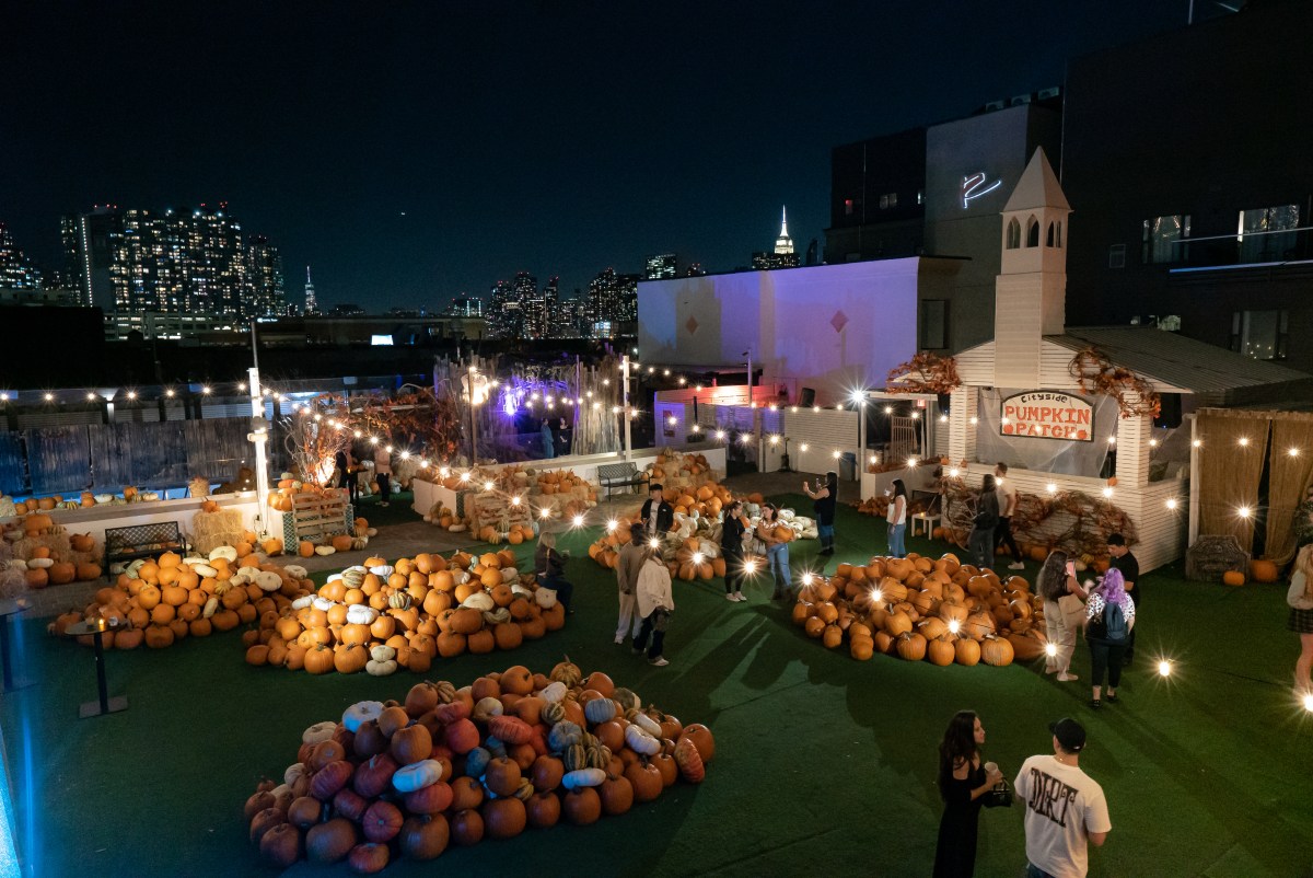 Cityside Pumpkin Patch