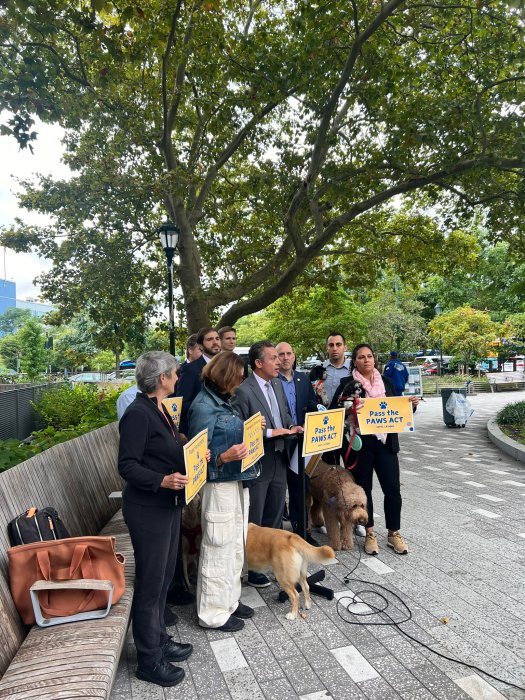 people and dogs in a park to announce a bill about pets and service animals in New York