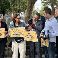 people in a park at a press conference about pets and service animals in New York