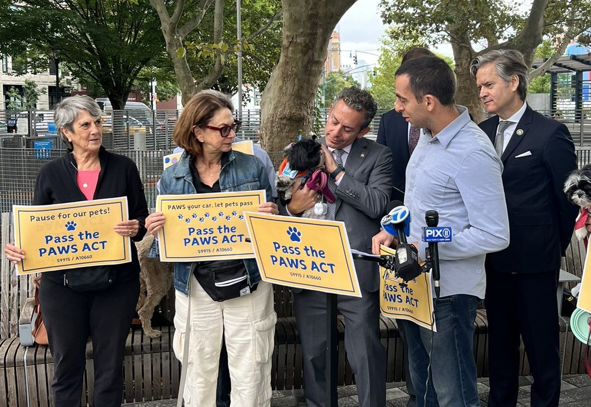 people in a park at a press conference about pets and service animals in New York