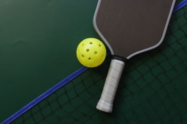 Top view of a pickleball racquet and yellow ball in a green background with a grid