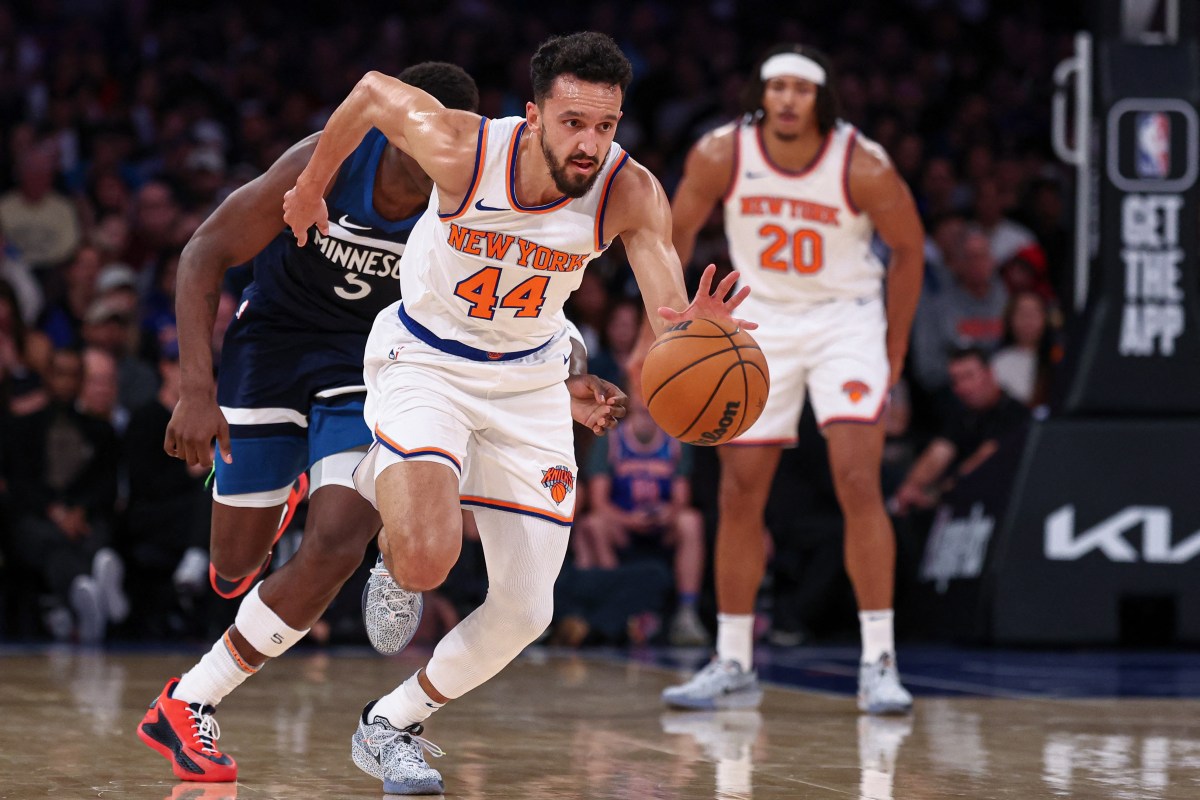 Landry Shamet Knicks