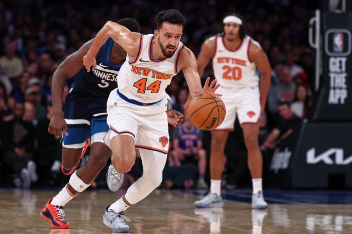 Landry Shamet Knicks