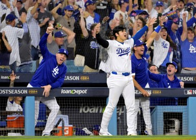 Shohei Ohtani Dodgers World Series