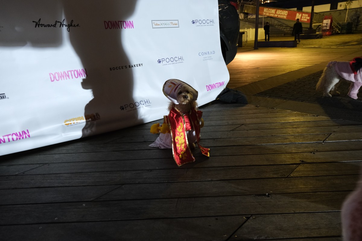 A dog in costume at Barktoberfest.