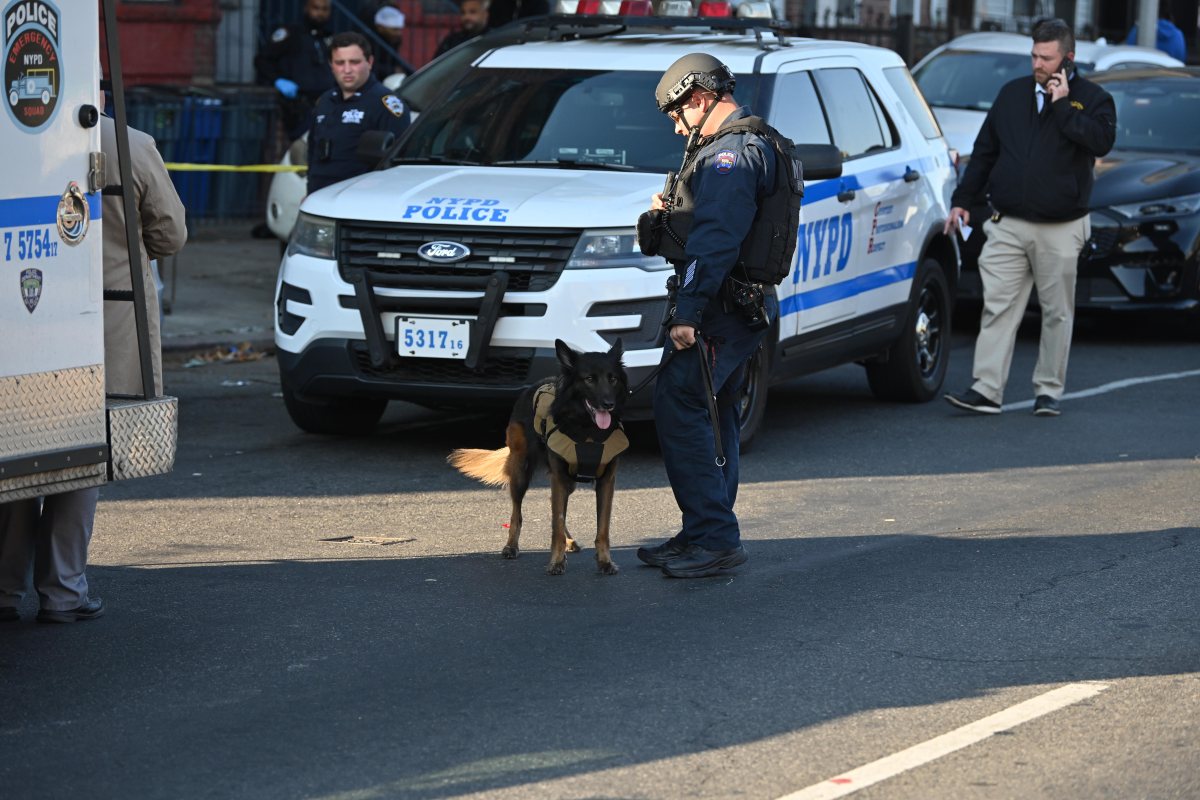 A police dog at the scene of the stabbing.