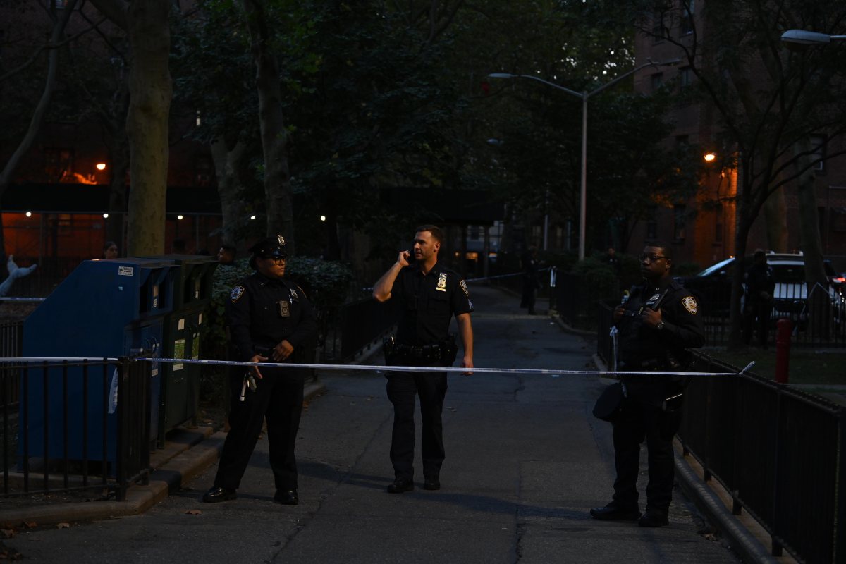 A 32 year man was fatally shot, a 26 year old man was shot and a 33 year old man was shot in a playground in Bed-Stuy.