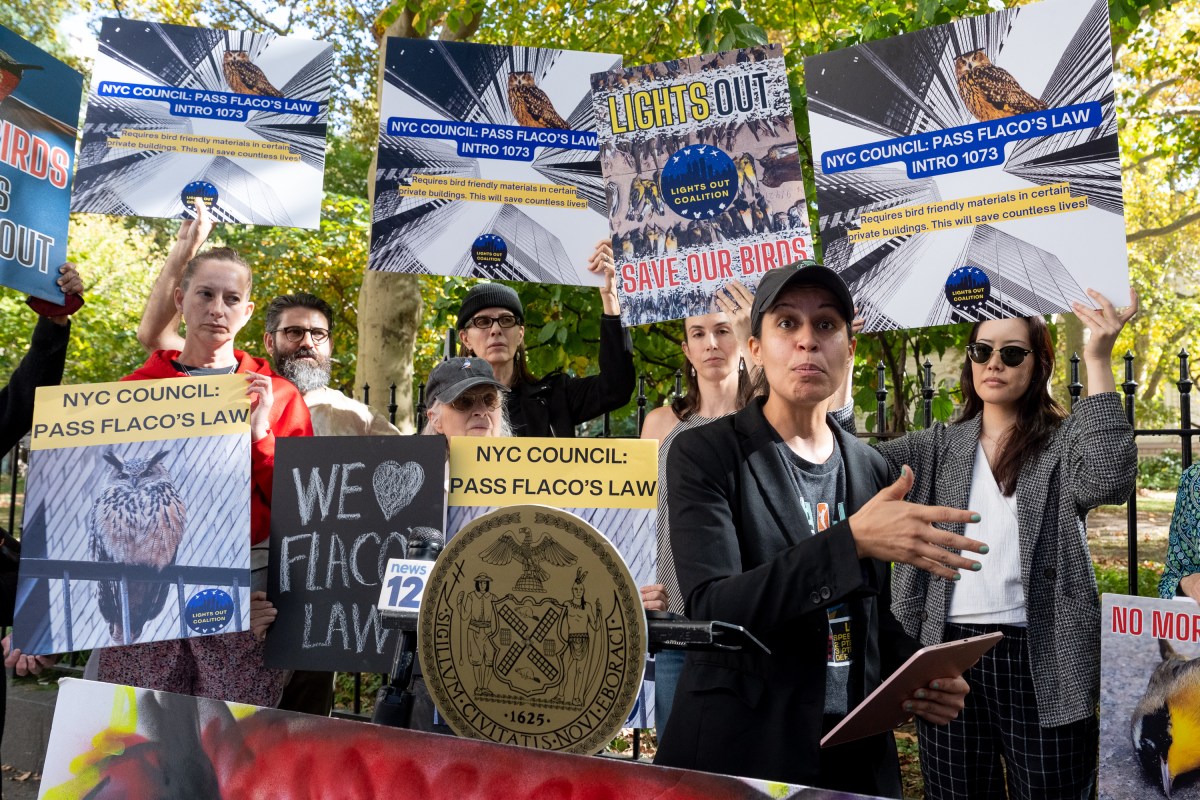 City Council member Tiffany Cabán told the crowd the bill would protect biodiversity, nature, and the environment.