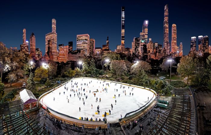 Wollman Rink as seen from above.