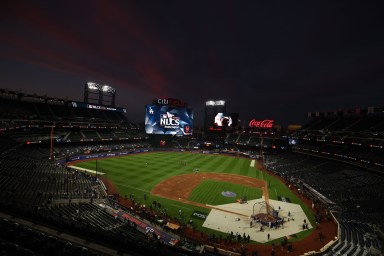 Mets Desi Druschel Citi Field view