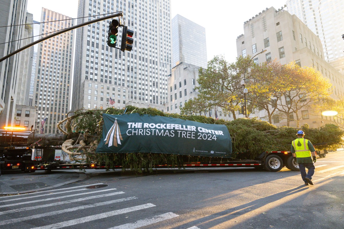 The wrapped 2024 Rockefeller Center Christmas Tree, a 74-foot tall, 11-ton Norway Spruce from West Stockbridge, MA, pulls into Rockefeller Plaza on a flatbed truck, Saturday, Nov. 09, 2024, in New York. The Rockefeller Center Christmas Tree Lighting Ceremony will take place on Wednesday, Dec. 4. (Diane Bondareff/AP Content Services for Tishman Speyer)