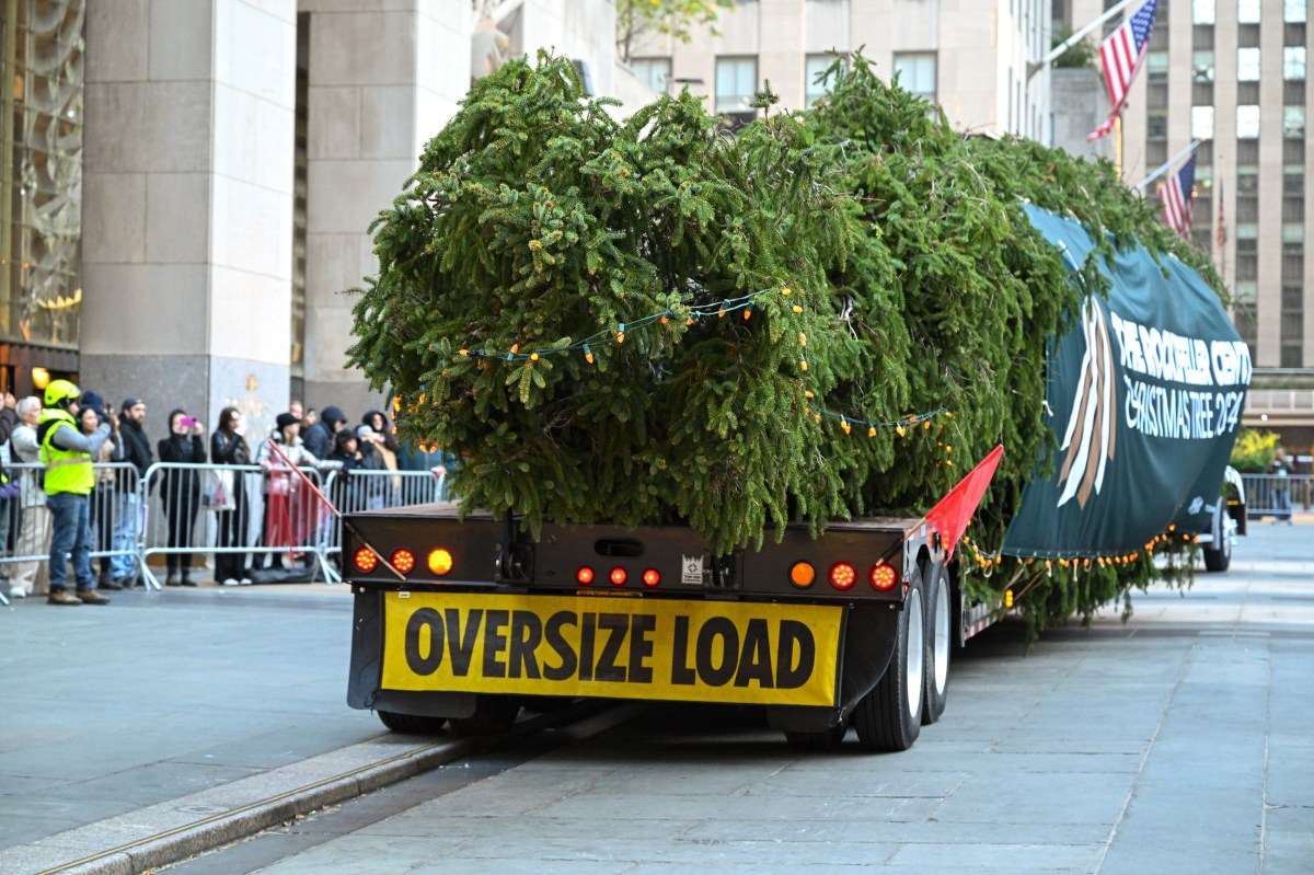 The wrapped 2024 Rockefeller Center Christmas Tree, a 74-foot tall, 11-ton Norway Spruce from West Stockbridge, MA, pulls into Rockefeller Plaza on a flatbed truck, Saturday, Nov. 09, 2024, in New York. The Rockefeller Center Christmas Tree Lighting Ceremony will take place on Wednesday, Dec. 4. (Diane Bondareff/AP Content Services for Tishman Speyer)