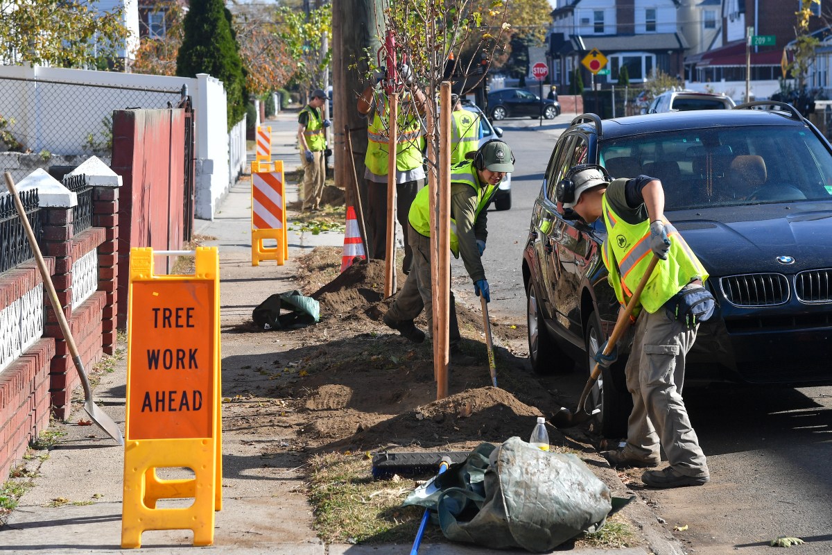 people planting trees on the street for the NYC Parks Department