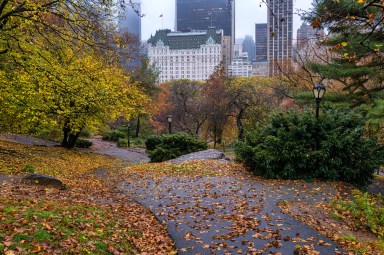 New York City - November 22, 2023: View of the Plaza Hotel seen from Central Park on a foggy morning in the fall. The walkway in Central Park is lined with leaves that have blown off the trees in the rainstorm. The sky is covered with a deep mist that engulfs the top of the skyscrapers on Central Park South and 59th Street.