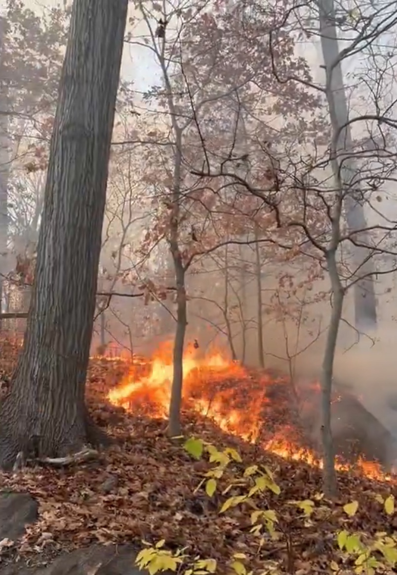 Wildfire at Inwood Hill Park