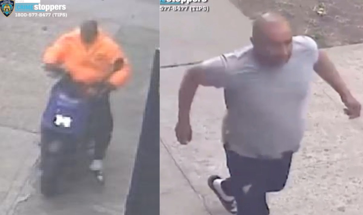 Bronx hit-and-run suspect