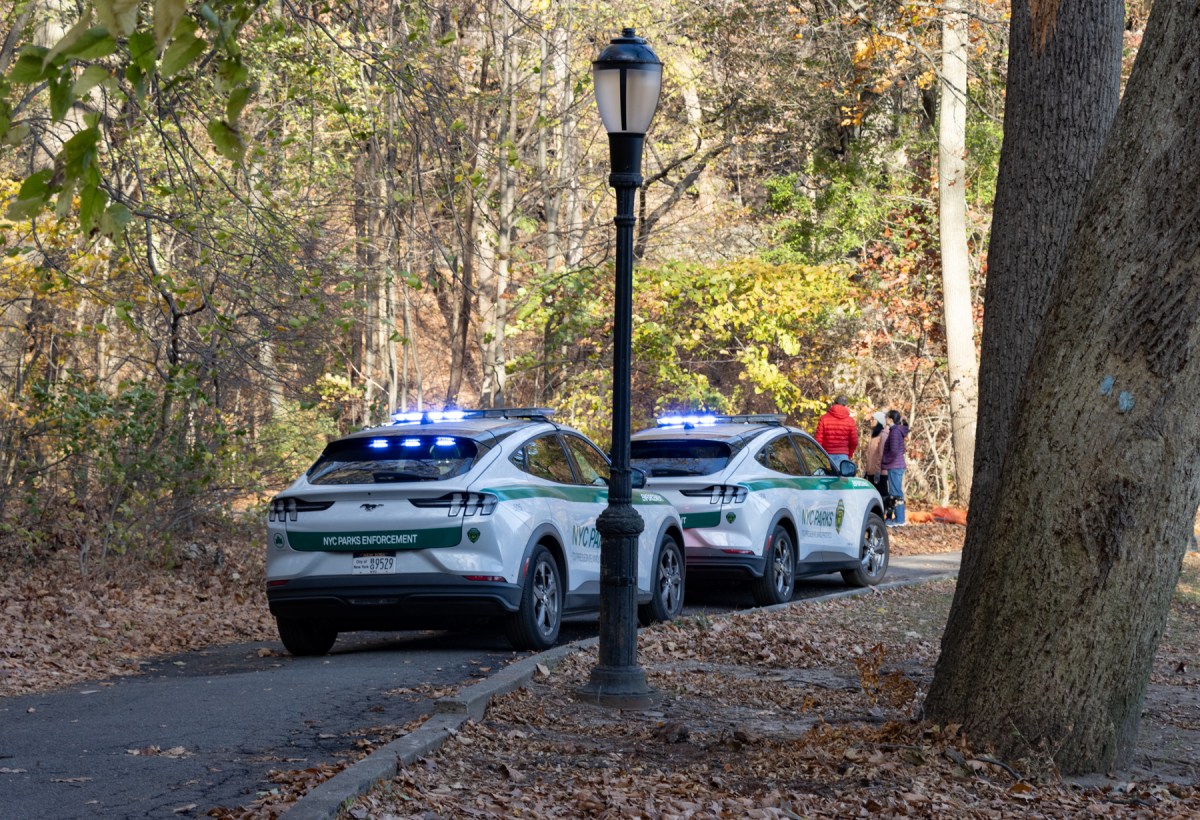 NYC Parks police at scene of Inwood Hill Park wildfire