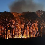 Trees on fire in Prospect Park wildfire