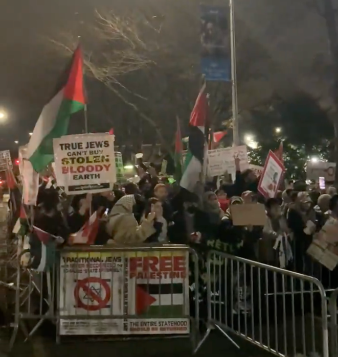 Hundreds of pro-Palestine protestors demonstrated at Kingsway Jewish Center in Brooklyn on Nov. 19, 2024.