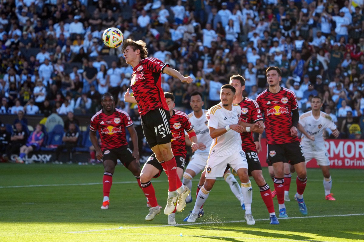 Daniel Edelman Red Bulls MLS Cup Final