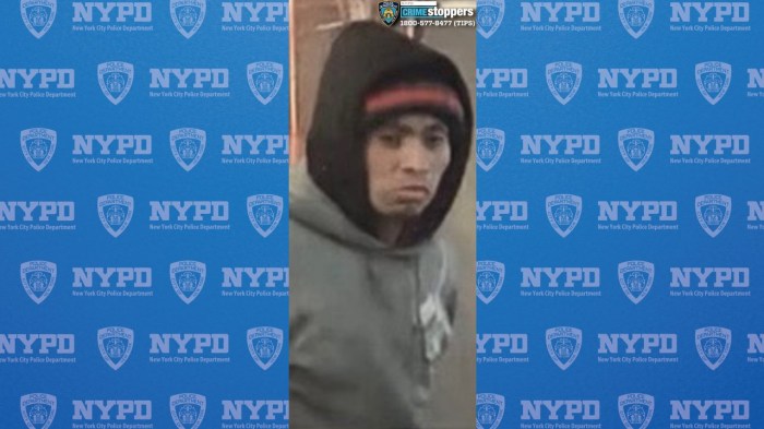 suspect wearing gray sweatshirt and knit hat who allegedly lit a woman on fire on a Brooklyn F train