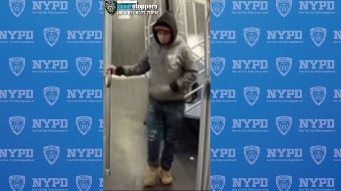 suspect wearing gray sweatshirt and knit hat who allegedly lit a woman on fire on a Brooklyn F train