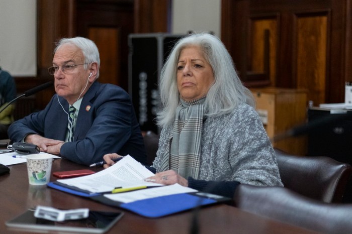 Members of the committee called out Council Member Vickie Paladino's line of question to a panel of witnesses which included claims that gang violence and crime would decrease with the Trump administration's plans for mass deportation.