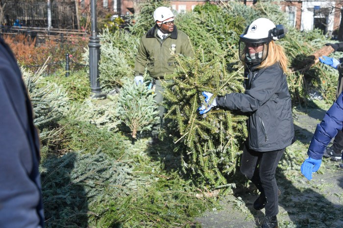 NYC Christmas trees being turned into mulch